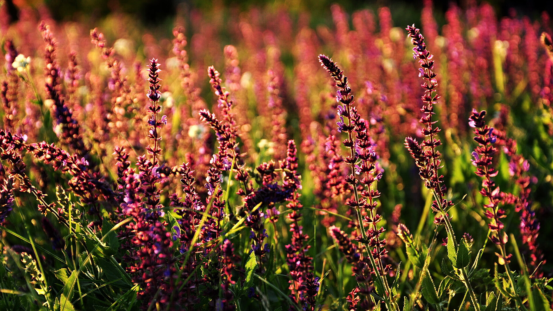 史上“最爆炸”的逆转奇迹，谁能超越？，最厉害的爆炸是什么爆炸