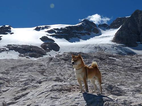 【新赛制探索】未来棒球或成为“秒秒秒”的运动,棒球新玩法