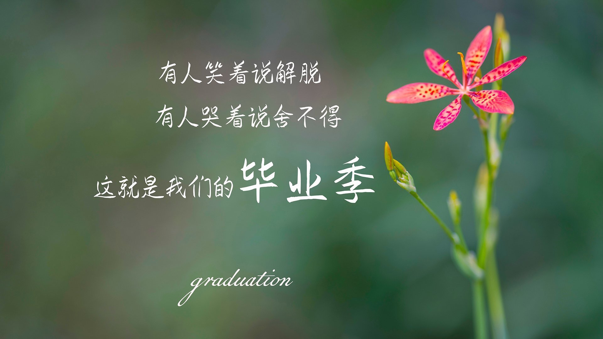 中国足球联赛激烈角逐，争冠集团逐渐明朗，中国足球冠军联赛最新消息