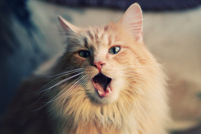 开云·体育官网-全国青少年“篮球趣味挑战”赛在青岛精彩展开，推广全民健身，青少年篮球邀请赛